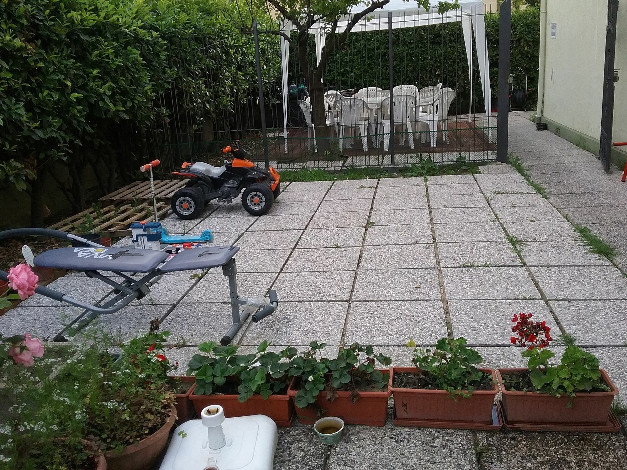 Ever Frühstückspension 3*